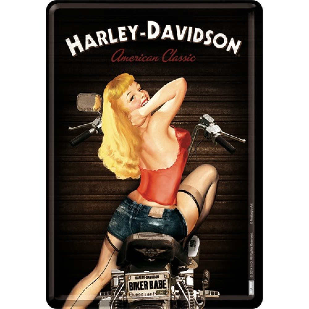 Placa metalica - Harley Davidson - Biker Babe - 10x14 cm